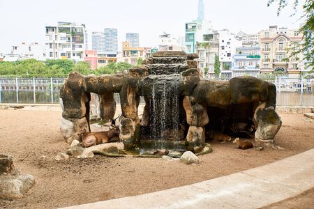 HO CHI MINH CITY, VIETNAM - NOVEMBER 15, 2019: Group of deers at the Saigon Zooのeditorial素材