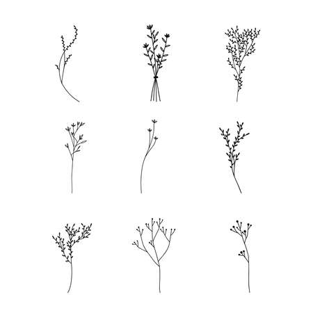 Hand drawn floral ornaments decorative elementsのイラスト素材