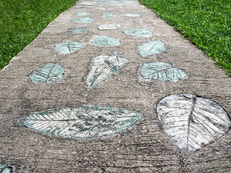 Leaves Imprint Concrete Walkway in the Public Parkの写真素材
