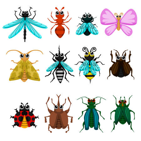 Bugs. Vector cute bugs and insects isolated on white background.のイラスト素材