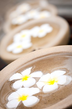 Beautiful and decorative tropical Frangipani flowers floating in waterの写真素材