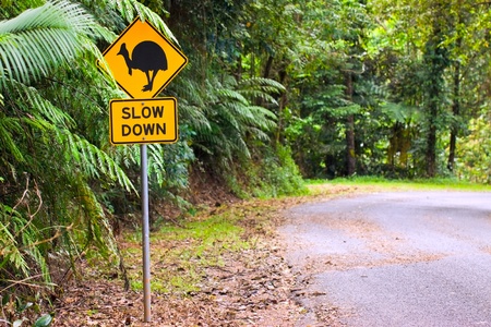 A cassowary road warning sign in the rainforest of north Queensland, Australiaの写真素材