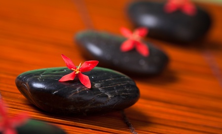 Health spa & massage still life: Black hot rocks with red flowersの写真素材