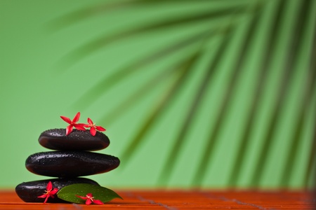 Spa & massage still life : balancing black stones, flowers and leafsの写真素材