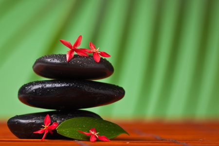 Spa & massage still life : close-up of balancing black stones, flowers and leafsの写真素材