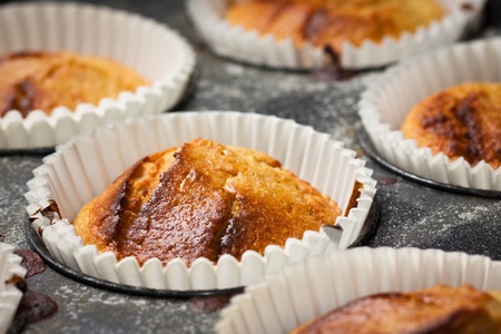 Delicious fresh  homemade muffins in a baking trayの写真素材