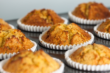 Close-up of delicious fresh home made muffins on a oven tray