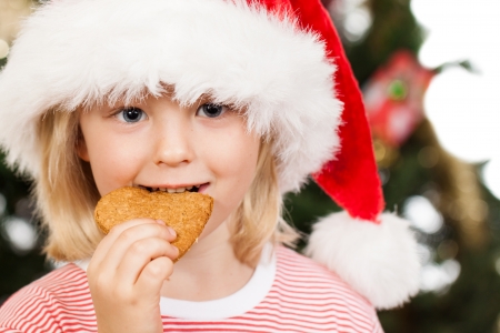 Close-up of a cute boy dressed as Santa's helper is eating a gingerbread cookie in front of a Christmas treeの写真素材