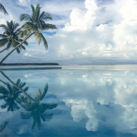 Palm trees reflecting in tide pool on Island of Siargao, Philippines