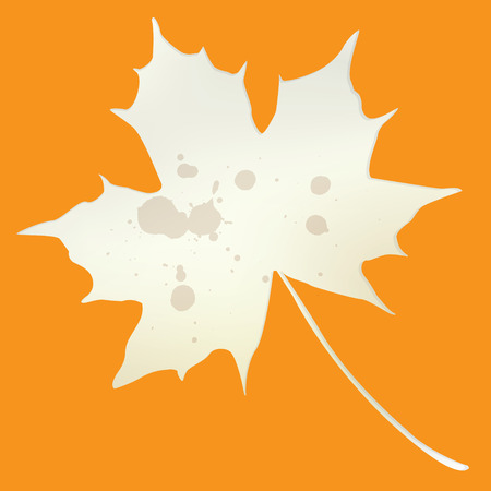 Vintage and grungy autumn leaf backgroundのイラスト素材