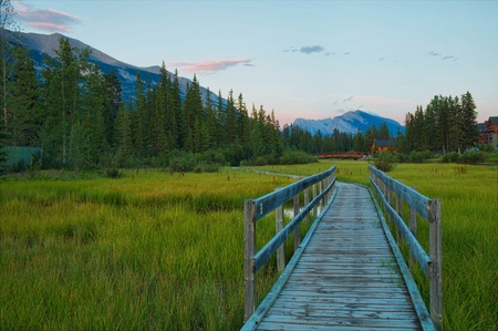 Beautiful Sunset in town of Canmore. Boardwalk Policeman Creekの写真素材