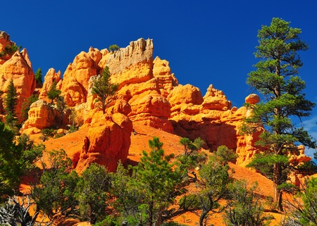 Rock formations in red canyon park in Utah near Bryce Canyon Parkの写真素材