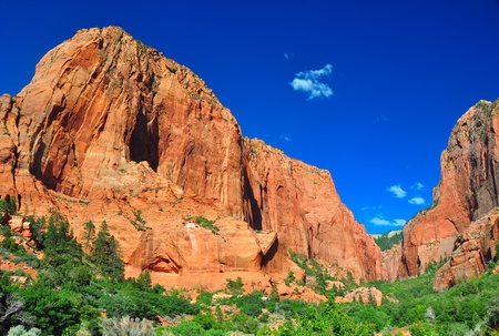 Towering rock formations at Zion National Park.の写真素材