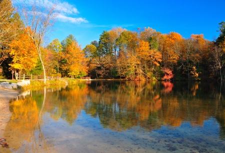 Peak Fall Foliage at Pine Grove Furnace State PArk, Pennsylvania