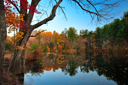 Peak Fall Foliage at Pine Grove Furnace State PArk, Pennsylvaniaの写真素材
