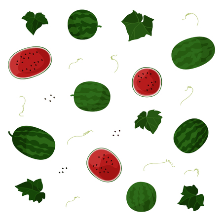 Watermelon - vector illustrationのイラスト素材