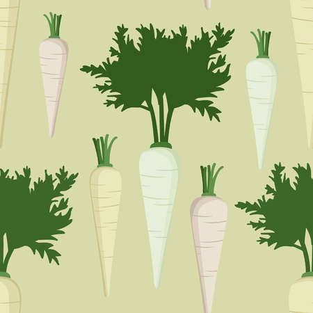 Root parsley - vector backgroundのイラスト素材