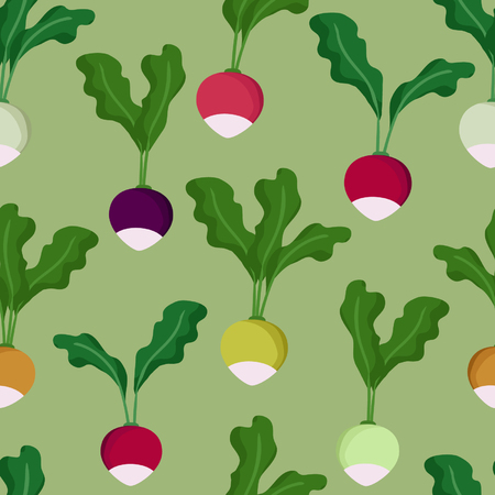 Colorful radish illustration.のイラスト素材