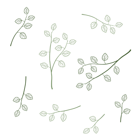 Set of outline birch branches - vector illustrationのイラスト素材