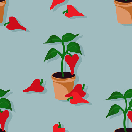 Red pepper growing in flowerpot - vector backgroundのイラスト素材