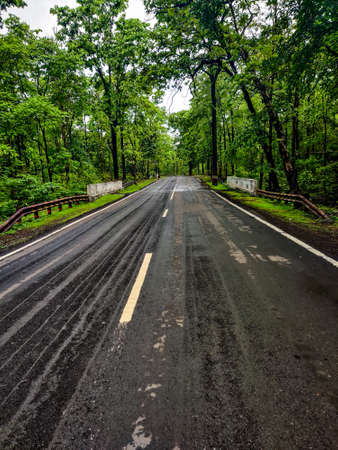 Photo Of Empty Road In The Forest.の写真素材