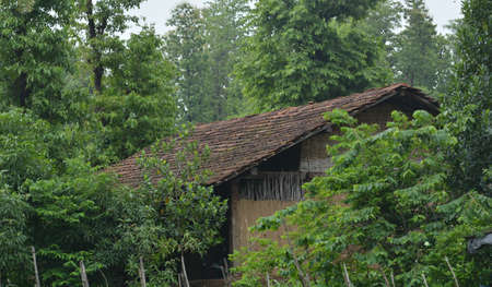 Vintage Wooden House In Forest.の写真素材