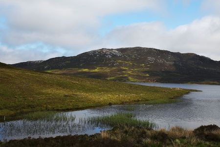 small loch near the loch nessの写真素材