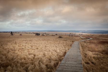 Autumn view of the Hautes Fagnes on top of Belgium in Wallonia.の写真素材