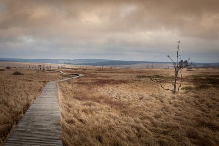 Autumn view of the Hautes Fagnes on top of Belgium in Wallonia.の写真素材