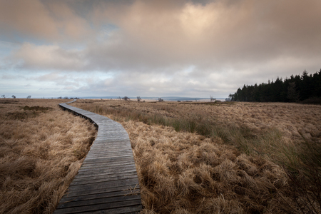Autumn view of the Hautes Fagnes on top of Belgium in Wallonia.の写真素材