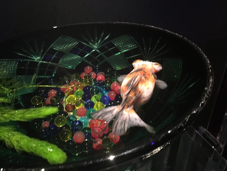 gold fishの写真素材