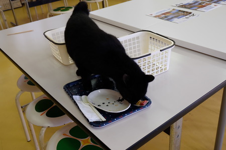 thief catの写真素材