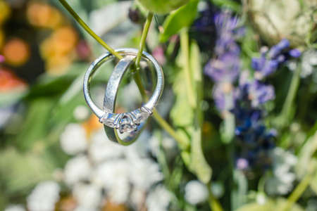 Wedding silver rings hanging on a small branch in front of a flower bokehの写真素材