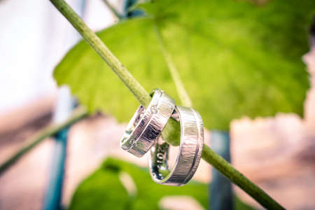 Wedding silver rings hanging or a small branch in front of a blurred leaveの写真素材