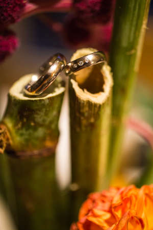 Wedding golden rings on green bambooの写真素材