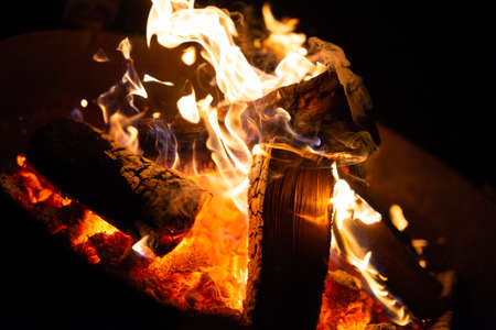 Burning Fire in a bunch of woodの写真素材