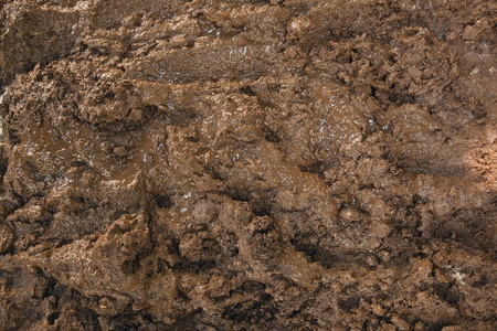 Mud Textureの写真素材