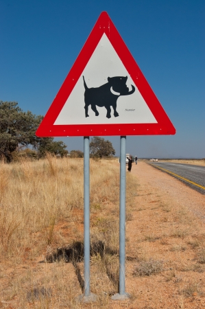 Warthog road sign in Namibia, animals of South Africaの写真素材