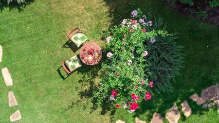 Decorated table with cheeses, strawberry and wine in beautiful rose garden, aerial top view of romantic date table food setting for two from aboveの写真素材