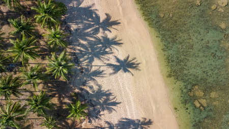 Aerial drone view of tropical beach from above, sea, sand and palm trees island beach landscape,...