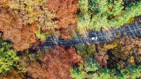 Aerial drone view of autumn landscape and road from above, yellow, green and red golden autumn trees...