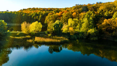 Golden autumn background, aerial view of forest with yellow trees and lake landscape from above