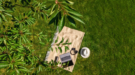 Laptop computer and headphones on park green grass, working and studying online outdoors, work outside office concept, aerial drone view from aboveの写真素材