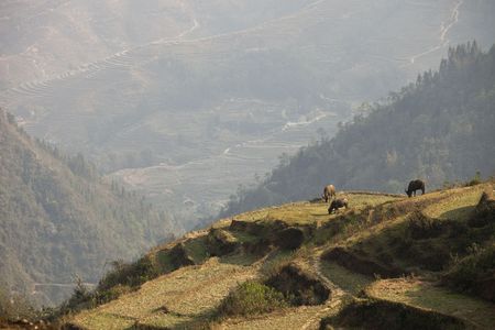 High Mountain in Sapa, Vietnamの写真素材