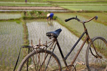 Bicycleの写真素材