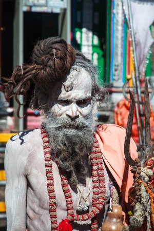 A sadhu at Kedharnath Templeのeditorial素材