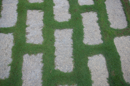 Cobblestone pavement with moss growing between stonesの写真素材