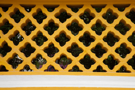 rows and columns of flower design windows with tree backgroundの写真素材