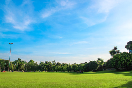 Lawnの写真素材