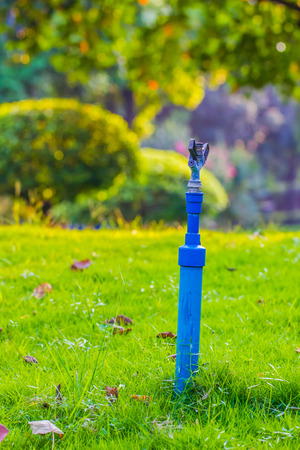 Lawn watering the flowersの写真素材